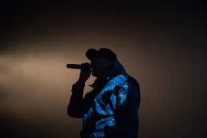 photo-1415886541506-6efc5e4b1786