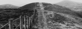 Nature, Photography, Black and White